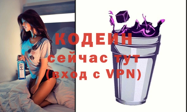 крисы Абаза