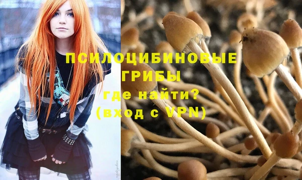 тгк Алексин