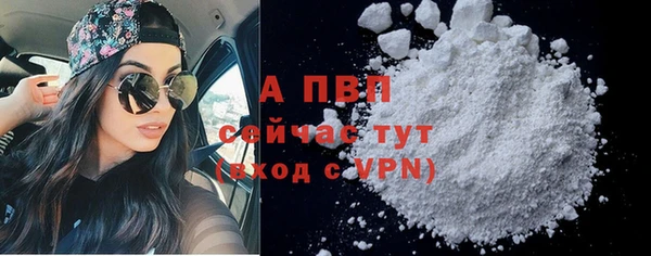 крисы Абаза