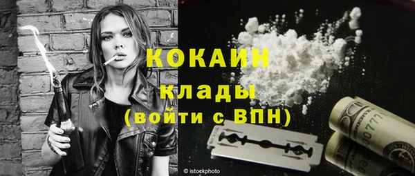 крисы Абаза