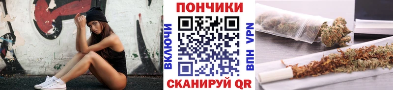 Канабис семена закладки Нолинск